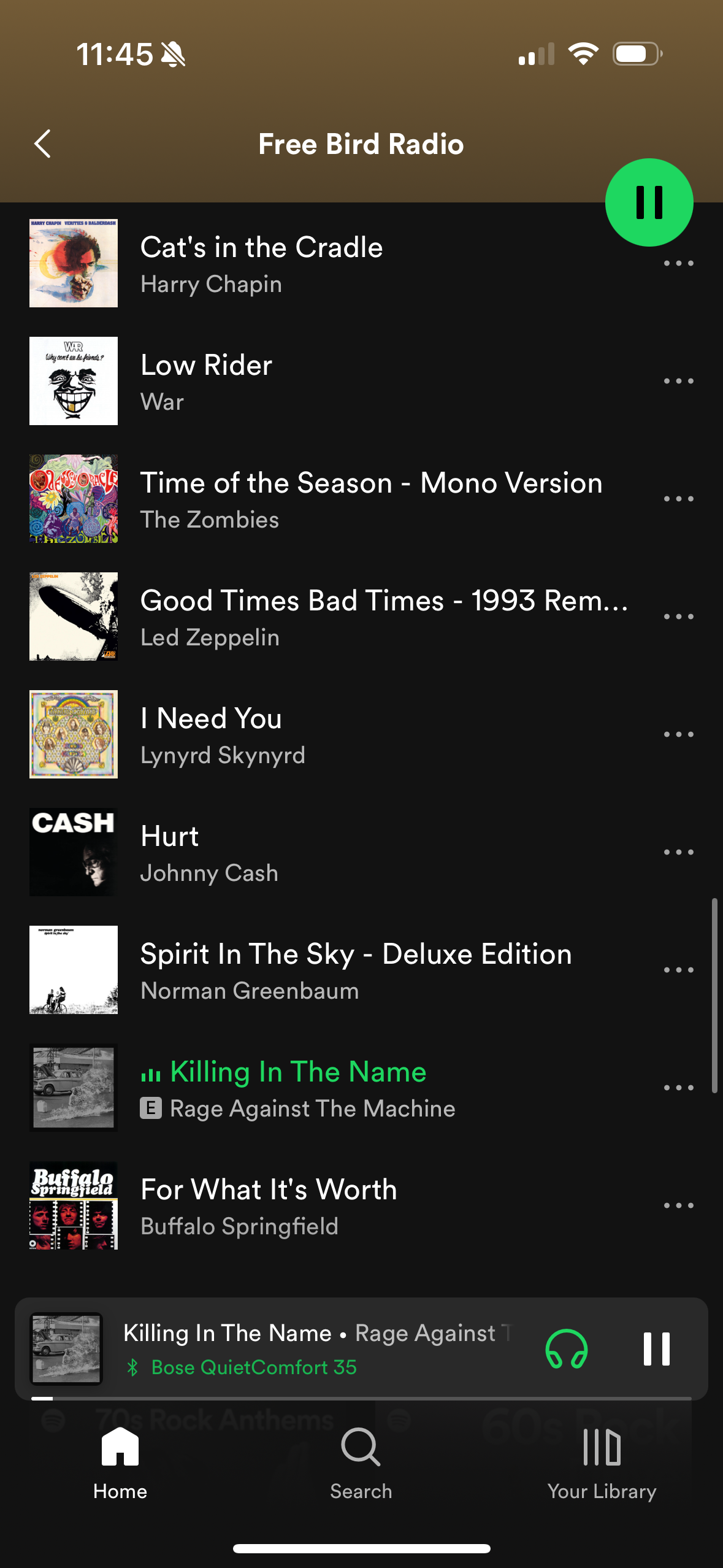 A screenshot of a playlist generated by Spotify for Free Bird that includes Harry Chapin and Rage Against The Machine